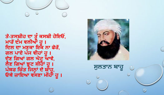 Sultan Bahu